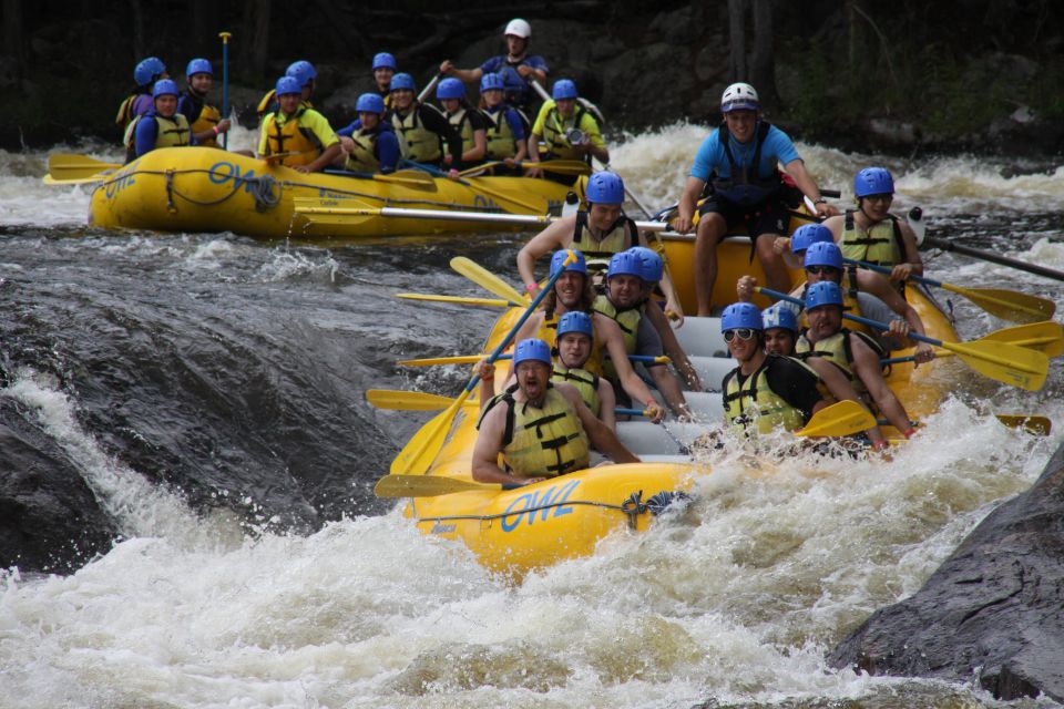 Ottawa River: White Water Rafting With BBQ Lunch - Restrictions