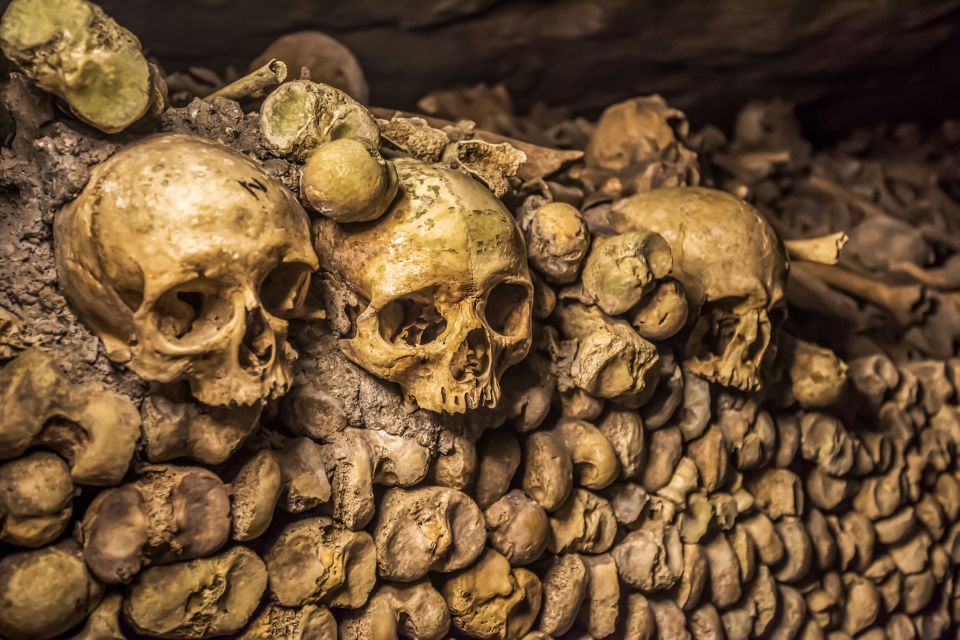 Paris Catacombs: VIP Skip-the-Line Restricted Access Tour - Customer Reviews