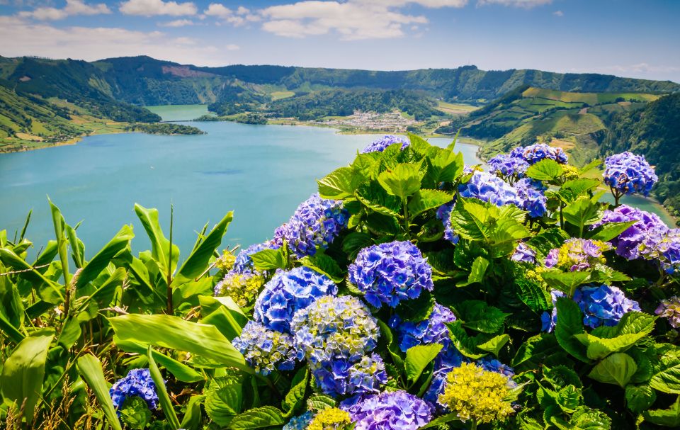 Ponta Delgada: Sete Cidades & Lagoa Do Fogo Tour - Important Information