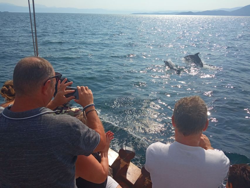 Preveza: Dolphin Watching Cruise With Lunch and Drinks - Highlighted Experiences