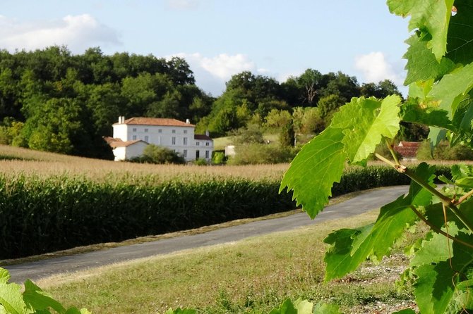 Private Day-Tour From Cognac : Vineyard and Craft Distilleries With Tastings - Vineyard Experience and Tastings