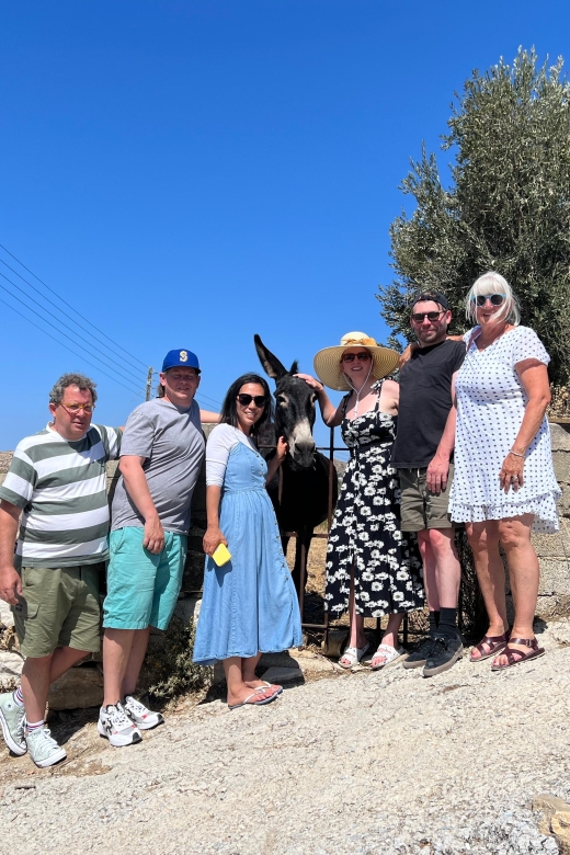 Private Day Tour in Naxos Lunch Included - Customer Reviews