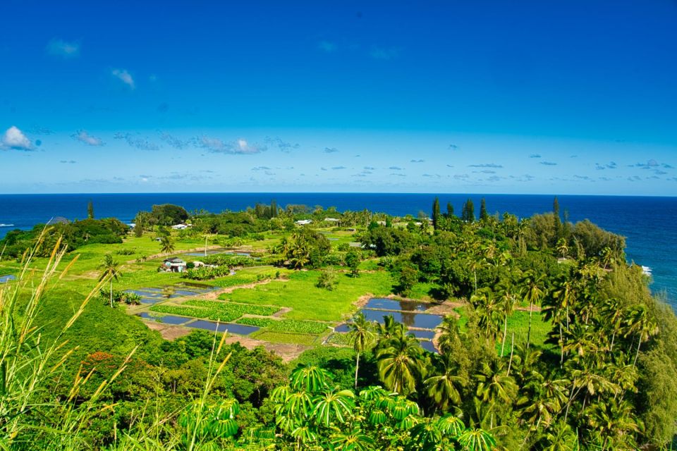 Private Halfway to Hana Tour LARGE GROUP - Additional Information