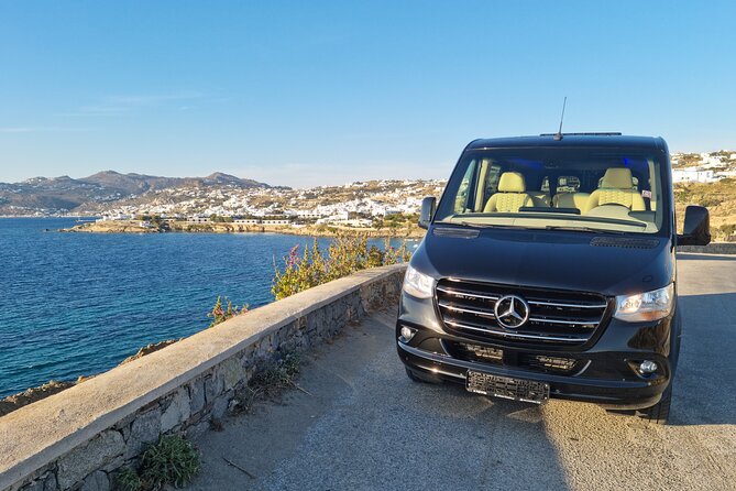 Private Luxury Transfer up to 11 Passengers - Reviews