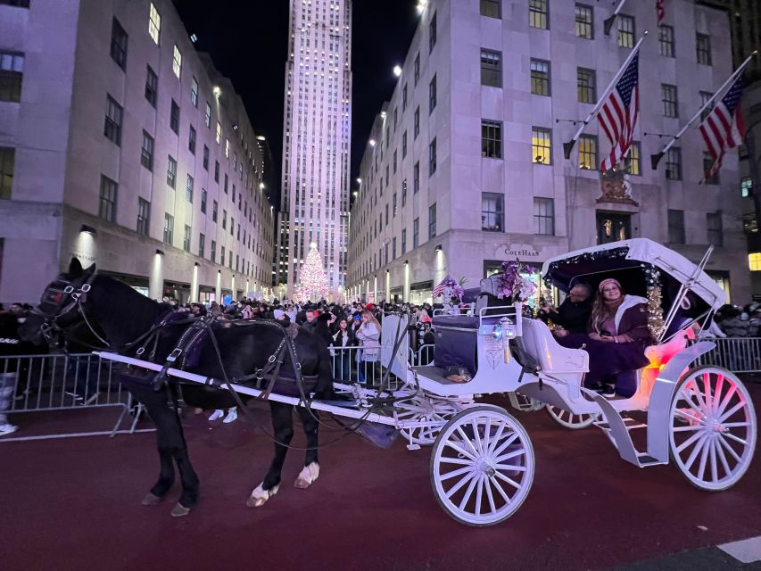 Private NYC Lights or Christmas Lights Horse Carriage Tour - Full Description and Additional Information