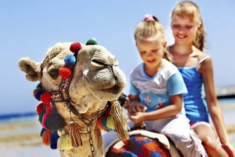 Private Tangier Tour From Gibraltar Including Camel & Lunch - Highlights