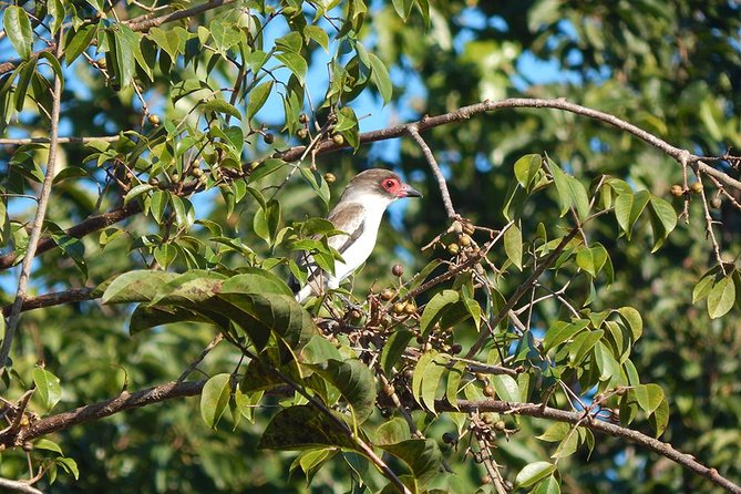 Private Tour: Birdwatching From Cancun - Customer Testimonials