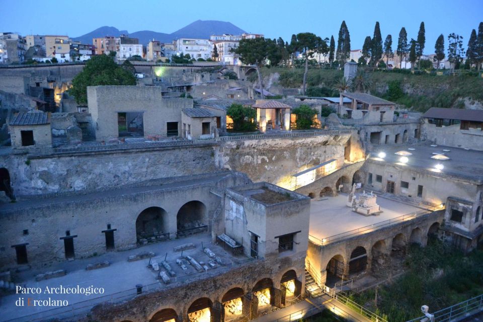 Private Tour: Pompeii and Herculaneum Excavations With Guide From Naples - Additional Notes