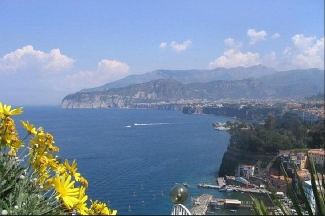 Private Transfer From Multiple Locations in Naples to Sorrento - Booking Process and Viator Services