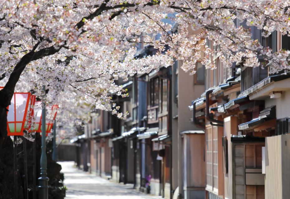 Private & Unique Kanazawa Cherry Blossom "Sakura" Experience - Common questions