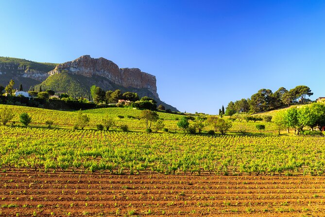 Provence Small Group Wine Full Day Tour in Chateauneuf Du Pape Vineyard From Aix - Reviews and Ratings