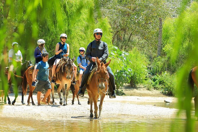 Puerto Vallarta Horseback Riding and Beach Break Adventure - Tour Highlights