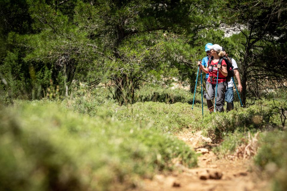 Rhodes: Hiking Tour to the Summit of Akramitis With Photos - Description