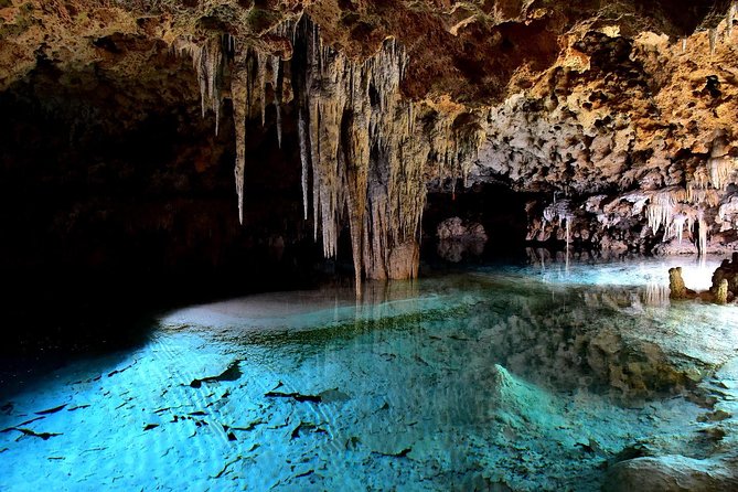 Rio Secreto Skip-the-Line Admission Ticket - Booking and Website Information