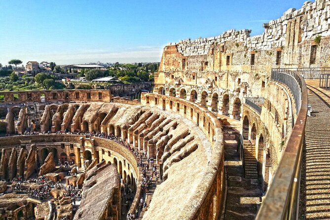 Rome Skip-the-Line Colosseum Guided Tour: Entrance Fee Included - Customer Reviews and Ratings