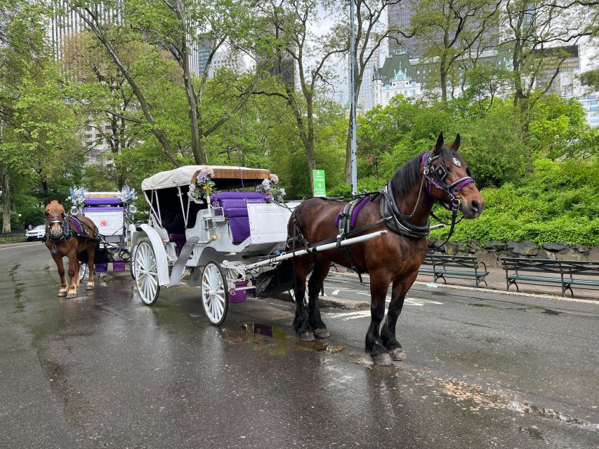 Royal Carriage Ride in Central Park NYC - Highlights