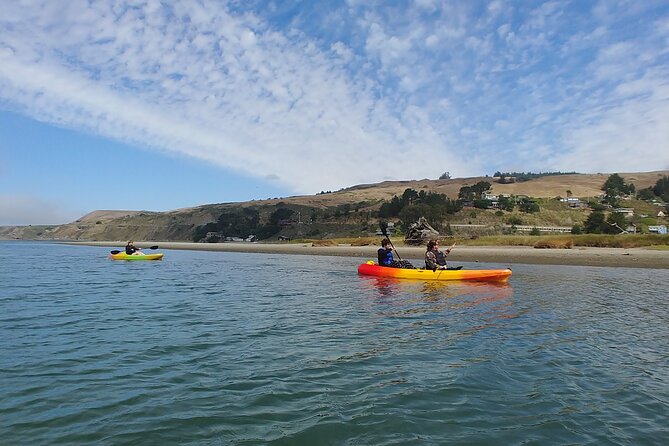 Russian River Kayak Tour at the Beautiful Sonoma Coast - Cancellation Policy Details