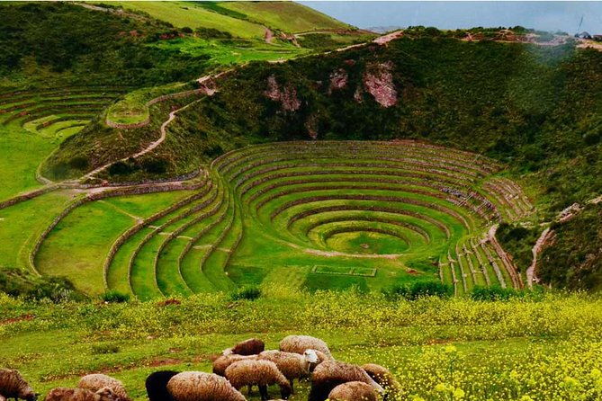 Sacred Valley With Maras-Moray Group Tour - Booking Support