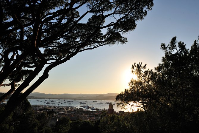 Saint-Tropez and Port Grimaud Day From Nice Small-Group Tour - Pricing Details