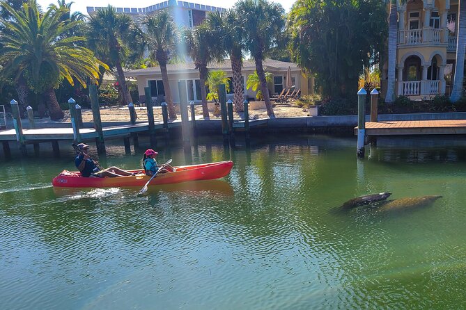 Sarasota: Lido Mangrove Tunnels Kayaking Tour - Common questions