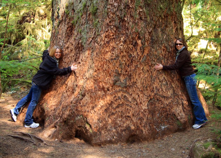 Seattle: Olympic National Park Small-Group Tour - Customer Reviews