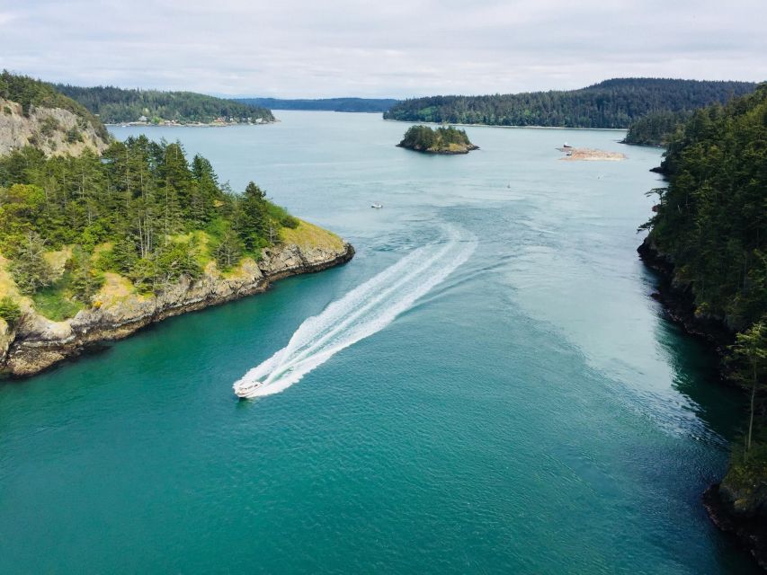 Seattle: Whidbey Island Deception Pass + Winter Birding Trip - Important Information