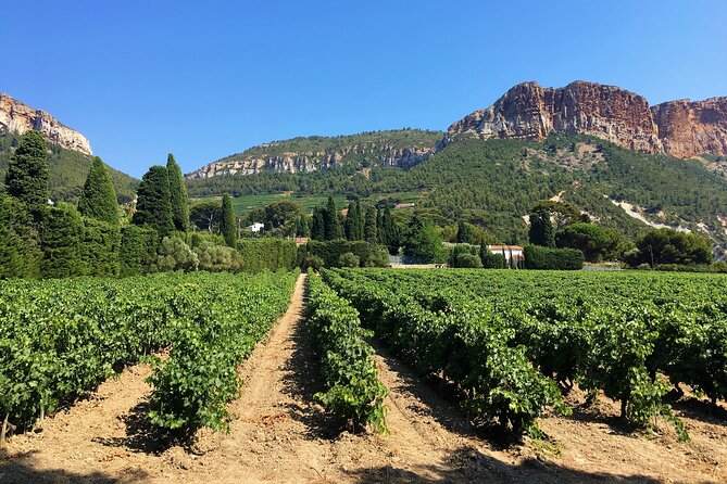 Shore Excursion Private Full Day Wine Tour in Provence From Toulon - Flexible Schedule