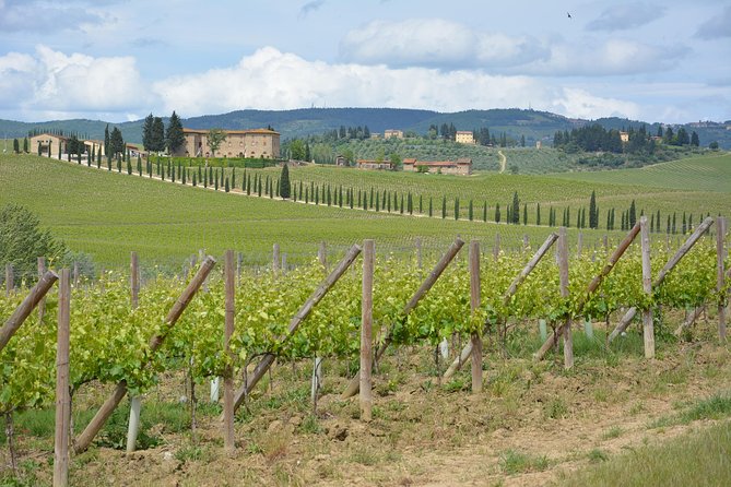 SMALL GROUP Chianti 2 Wineries & Lunch (Max 8 People) - Additional Information