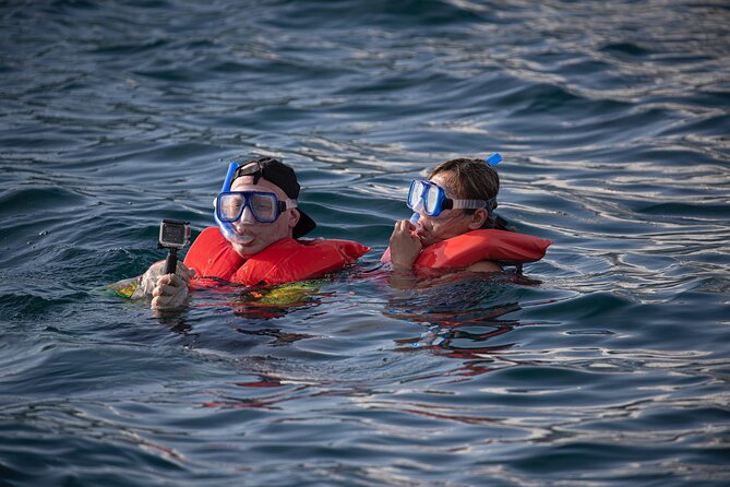 Snorkel, Lunch & Sail in Cabo San Lucas - Overall Experience and Activities