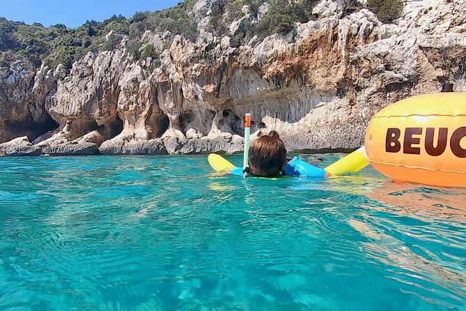 Snorkeling Experience to Discover the Dolphin Inside You! - Safety Measures for Snorkeling