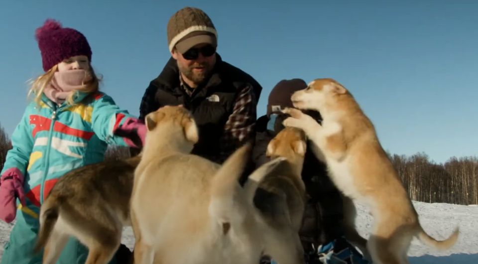 Talkeetna: Alaskan Winter Dog Sledding Experience - Location Details