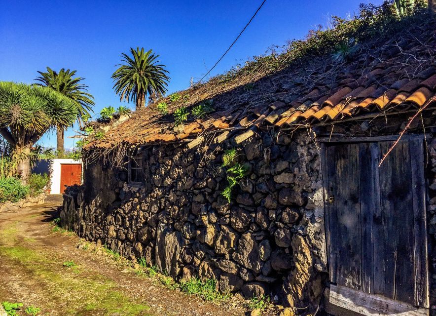 Tenerife Private Tour: Full-Day Historic North - Pickup and Drop-off Details