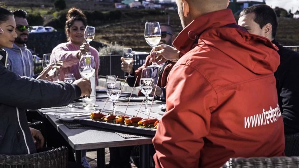 Tenerife Private Tour: Mount Teide Nature and Wine - Important Information