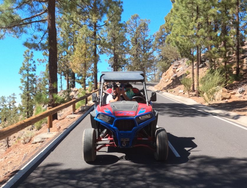 Tenerife: Volcano Teide Buggy Tour With Wine Tasting & Tapas - Participant Requirements