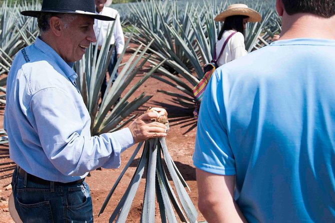 Tequila Distillery Experience, Jose Cuervo & Tequila Magic Town - Cancellation Policy