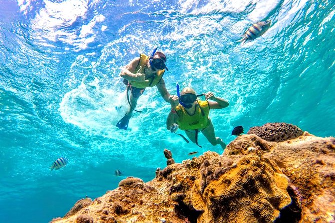 The Heaven Snorkel by Private Boat - Tour Experience and Activities