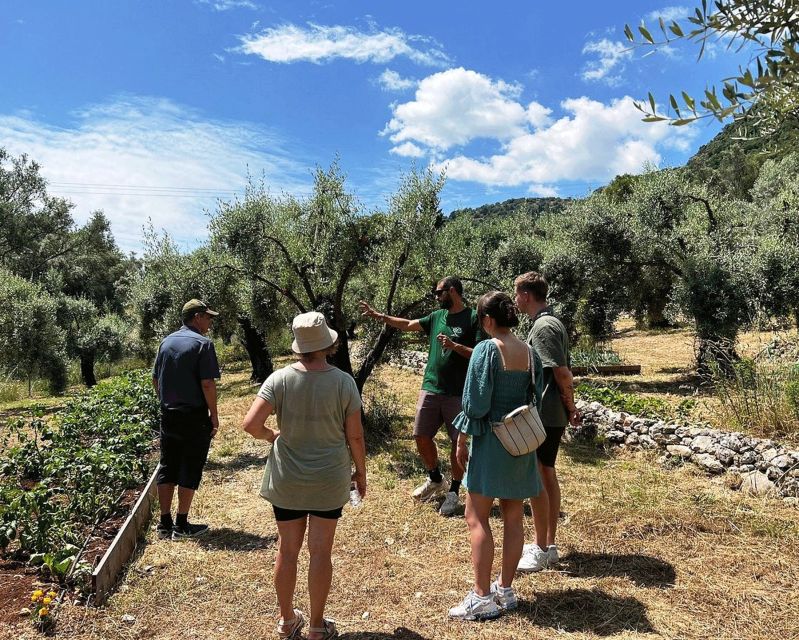 The Olive Oil Experience @ Lefkada Micro Farm - Inclusions