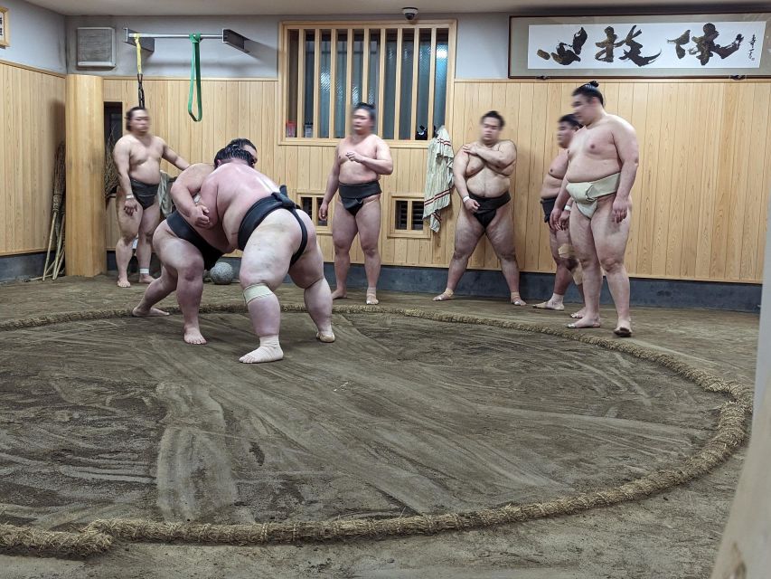 Tokyo: Morning Sumo Practice Viewing - Customer Reviews and Ratings