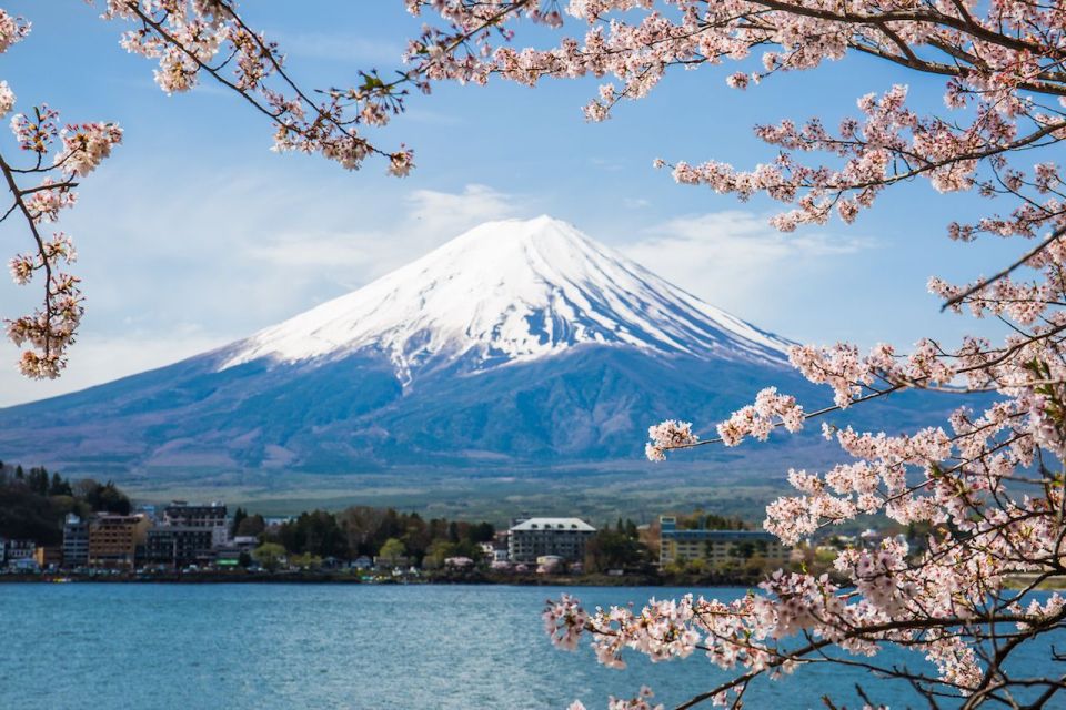 Tokyo: Private Sightseeing Day Trip to Mount Fuji and Hakone - Common questions