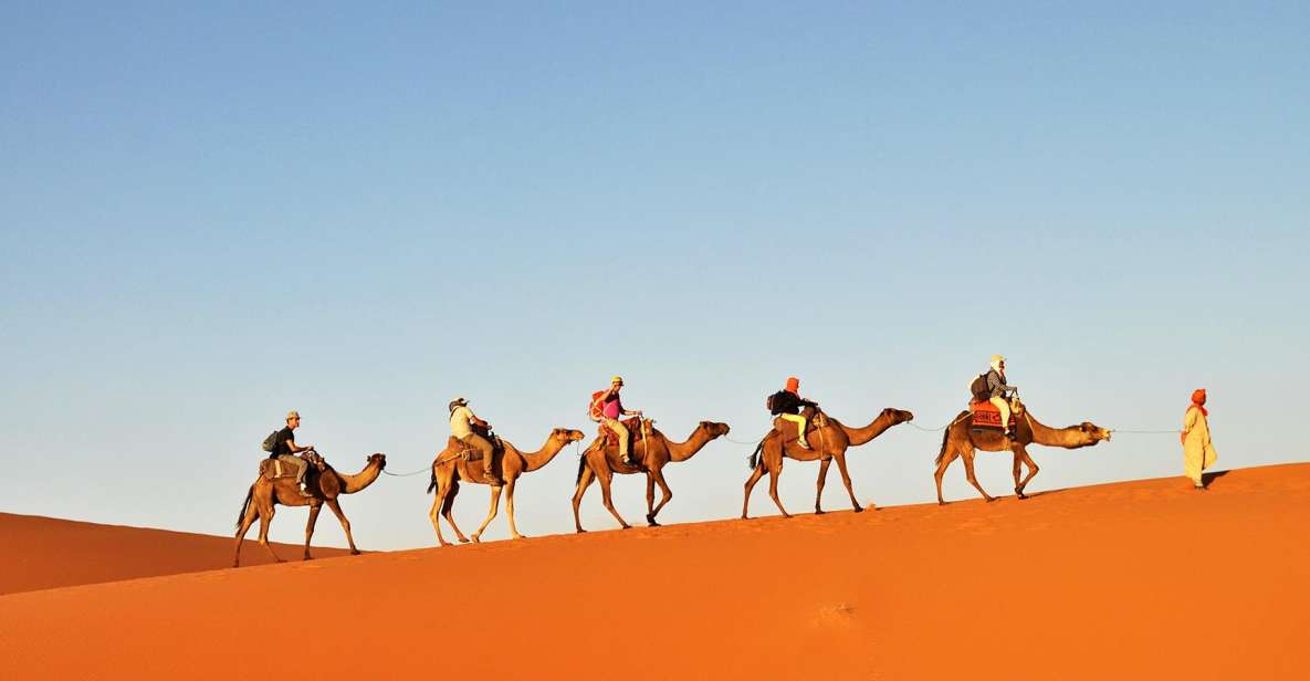 Tunisia: 3-Day Sahara Desert Camel Trek From Douz - Important Information