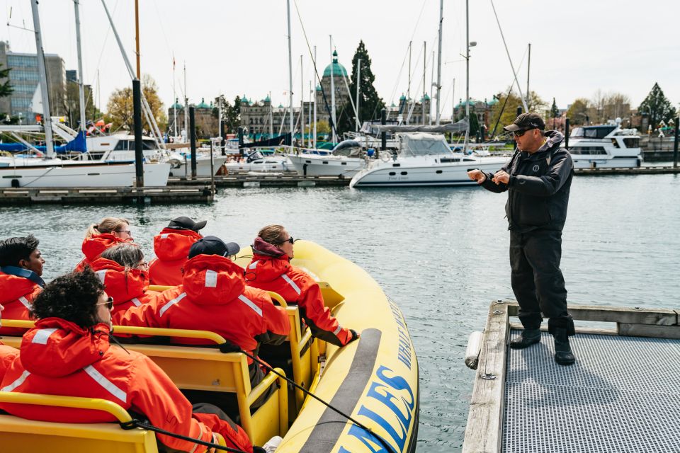 Victoria: 3-Hour Whale Watching Tour in a Zodiac Boat - Meeting Point and Important Information