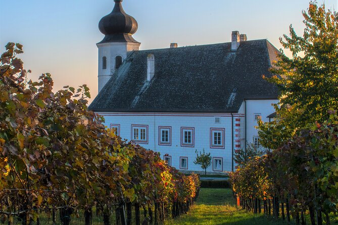 Vienna Woods Wine Tour - Wines, Vines & Good Times! - Pricing and Additional Info