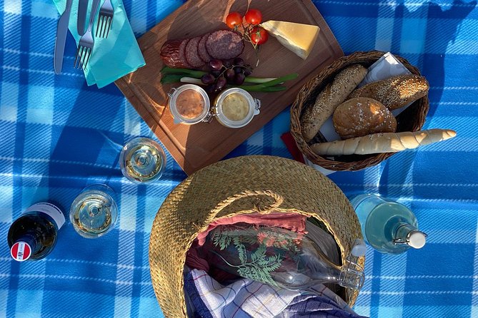 Wine Picnic Overlooking Vienna - Transportation and Accessibility