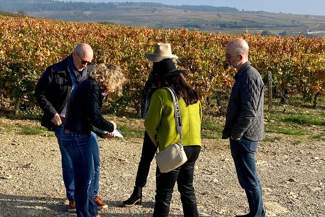 Wine Walking Tour Through the Burgundian Vineyards - 2h - Group Interaction