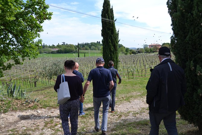Winery Tour and Tasting of Garda Wines in Lazise - Lake Garda Microclimate Advantage