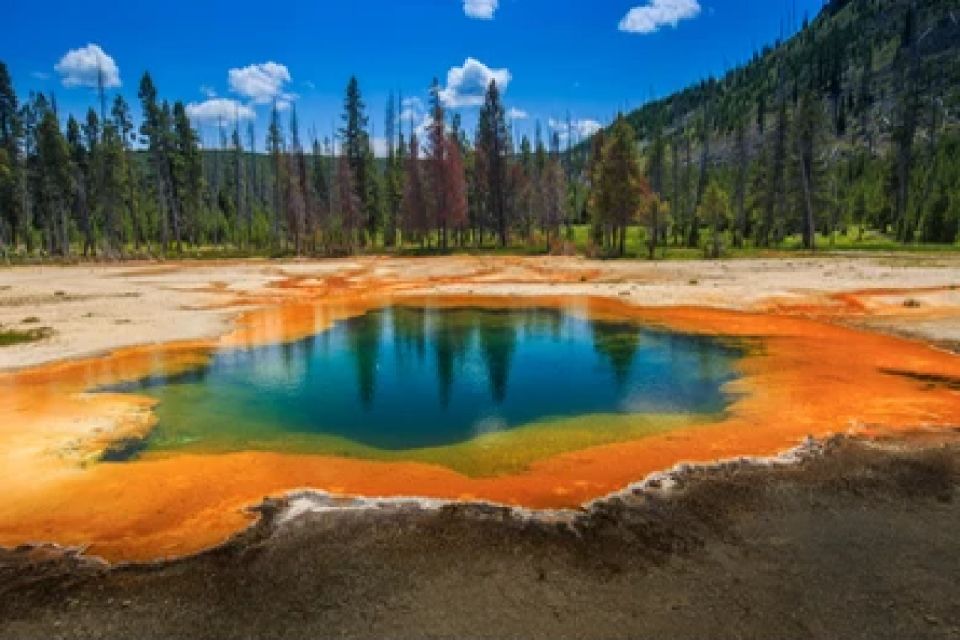 Yellowstone: Old Faithful, Waterfalls, and Wildlife Day Tour - Expert Guided Tours