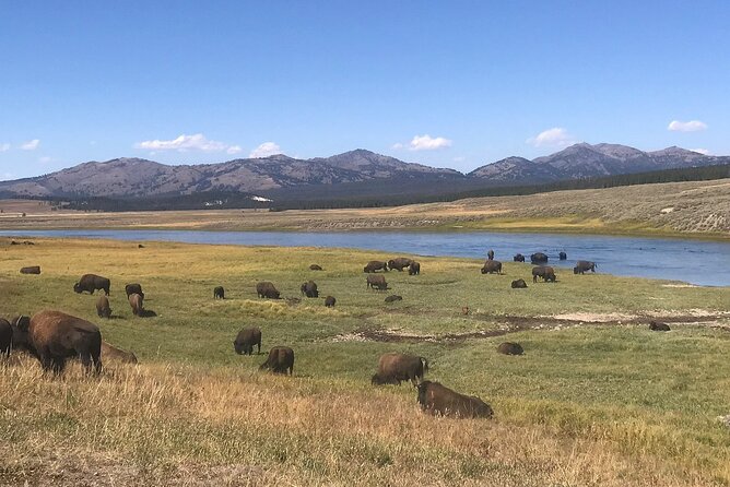 2-Day Yellowstone National Park Upper and Lower Loop Exploration - Expert Guided Exploration