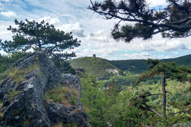 2-Hour Private Hiking Tour Helenental Castles Hike From Vienna - Common questions