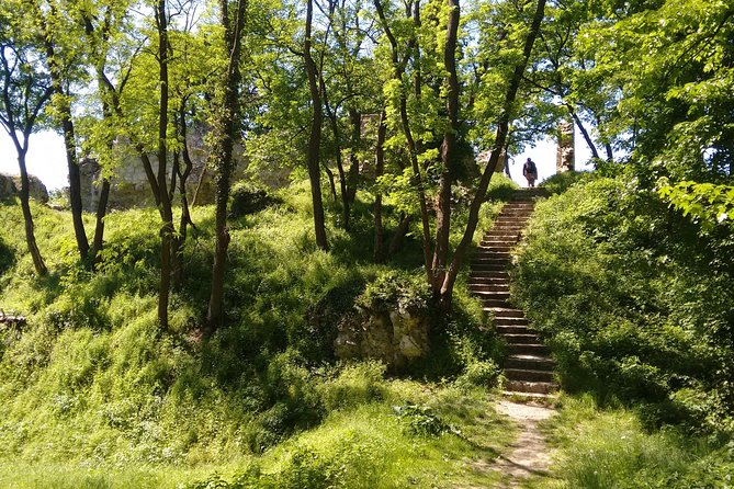 2-Hour Private Hiking Tour to Meet History at Braunsberg Mountain From Vienna - Cancellation Policy