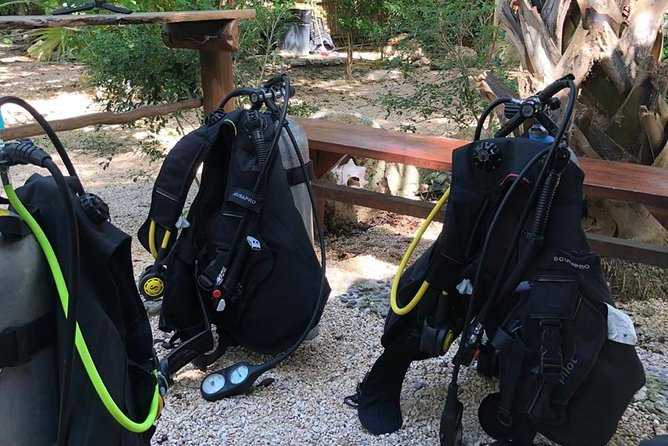 2 Tanks Cenote Diving Adventure in Tulum for Certified Divers - Customer Reviews